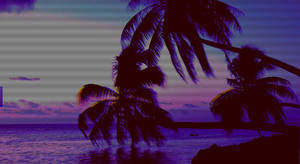 Fondo de pantalla estético de palmeras oscuras.