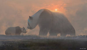 Fondo de pantalla de escritorio de panda y cría al atardecer nublado.