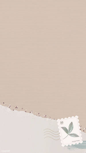 Papel Vector Beige Estético — Beige estético Fondos de pantalla