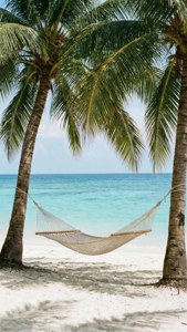 Una hamaca relajante entre palmeras en una playa tropical, estética perfecta para un escape veraniego. — Estética de verano Fondos de pantalla
