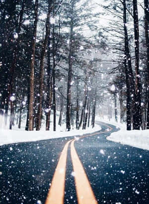 Paraíso Invernal: Un Sendero Nevado en el Bosque — HMD Terra M Fondos de pantalla