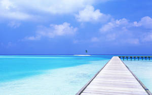 Fondo de pantalla Paraíso Oceánico de Verano. — Océano Fondos de pantalla