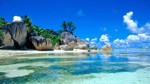 Paraíso Seychelles: Protector de pantalla de playa