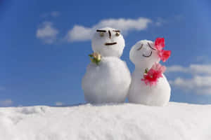 Imágenes de paraíso invernal — Estética de nieve Fondos de pantalla