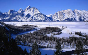 Fondo de pantalla del Parque Nacional Grand Teton frío — Frío Fondos de pantalla