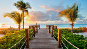 Fondo de pantalla de pasarela de madera en la playa. — 1600x900 Fondos de pantalla