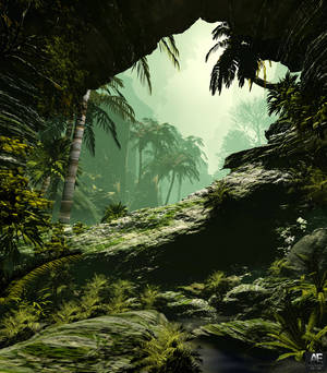 Fondo de pantalla de frondosas palmeras en la jungla neblinosa. — Galaxy Z Fold Fondos de pantalla