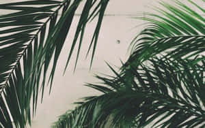 1280x800 — 1280x720 Fondos de pantalla