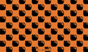 Imágenes de gato negro — Cat Noir Fondos de pantalla