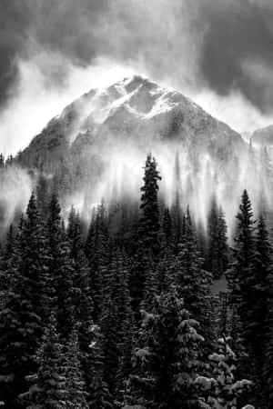 Imágenes estéticas en blanco y negro — Estético blanco y negro Fondos de pantalla