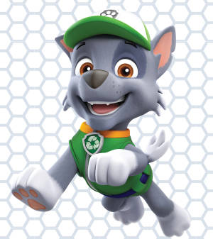 Fondo de pantalla de Paw Patrol Rocky — Motorola Razr Fold Fondos de pantalla