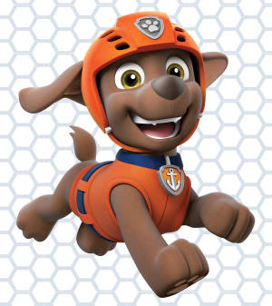 Fondo de pantalla de Paw Patrol Rescatista Acuático Zuma — Motorola Razr Fold Fondos de pantalla