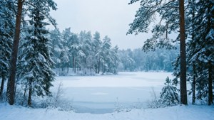 Bosque nevado y lago congelado en un paisaje invernal ultra panorámico.