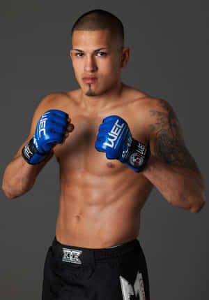 Peleador latino de UFC Anthony Pettis — OnePlus Pad 3 Fondos de pantalla