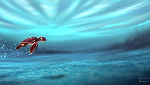 Fondo de pantalla de pequeña tortuga genial bajo el agua — Tortuga linda Fondos de pantalla