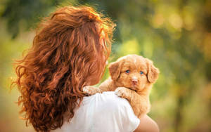 Pequeño cachorro dorado y mujer — Cachorro lindo Fondos de pantalla