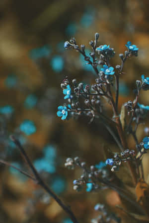 Pequeños Brotes Azules para Teléfono — Floral iPhone Fondos de pantalla