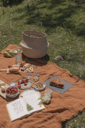 Fondo de pantalla de picnic estético preppy — Estética preppy Fondos de pantalla