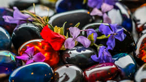 pulidas,piedras,flores,superficie,primer plano,rojo,púrpura,negro