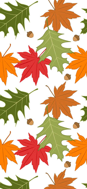 Mejor fondo de otoño — Oppo A6t Pro Fondos de pantalla
