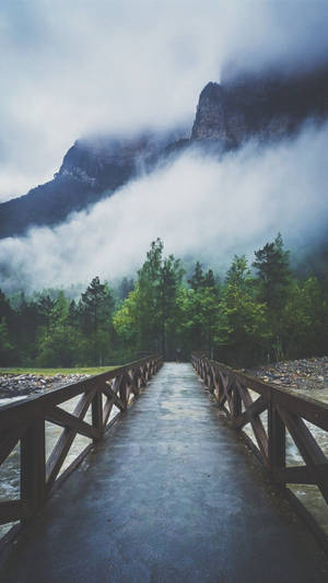 Puente sobre el río hacia el bosque fondo de pantalla iPhone