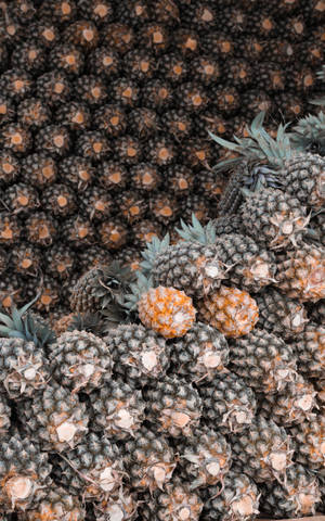 Fondo de pantalla de piñas organizadas apiladas — Galaxy Tab Fondos de pantalla
