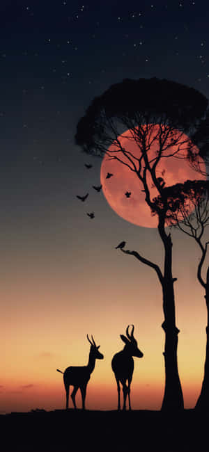 1080x2340 — iPhone 17 Fondos de pantalla
