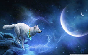 Planeta Lobo Genial — Lobo genial Fondos de pantalla