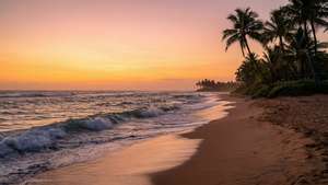Fondo de pantalla de playa al atardecer en formato ultrapanorámico, tranquilo.