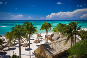 Imágenes de la Playa de Aruba
