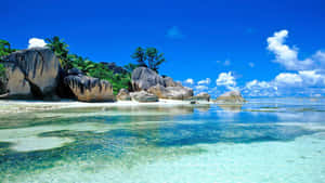 Playa en HD