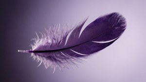 Una delicada pluma púrpura suspendida en el aire, ligera y grácil. — Morado Fondos de pantalla