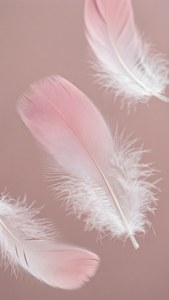 Plumas suaves en tonos degradados de rosa claro y blanco flotando delicadamente. — Rosa claro estético Fondos de pantalla