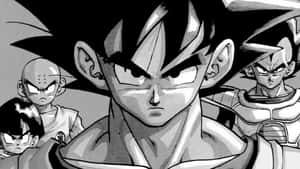 Imágenes de Dragon Ball — Dragon ball Fondos de pantalla