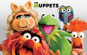 Animal Muppet