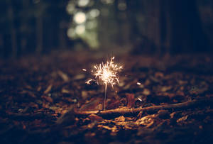 Pequeña chispa de fuego amarillo brillante en el follaje iluminando el oscuro bosque.