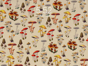 Protector de pantalla vintage de hongo lindo — Champiñón lindo Fondos de pantalla