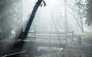 Puente de Bosque Neblinoso