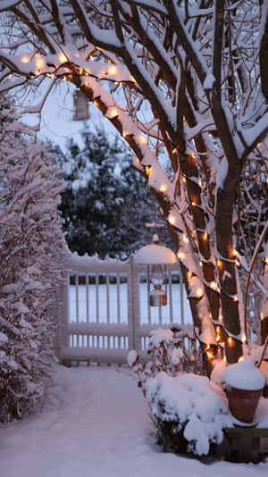 Invierno Acogedor Tumblr — Estética invernal Fondos de pantalla