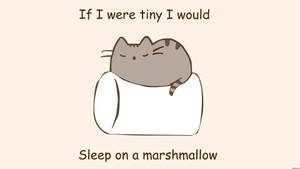 Fondo de pantalla de Pusheen Durmiendo Sobre Malvavisco — Simple Fondos de pantalla