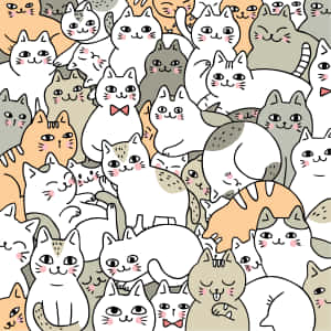 Imágenes de gatos lindos — Gato Lindo Fondos de pantalla
