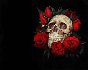 Cráneos y Rosas