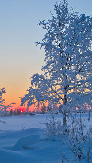 1440x2560 — 1440x2560 Fondos de pantalla