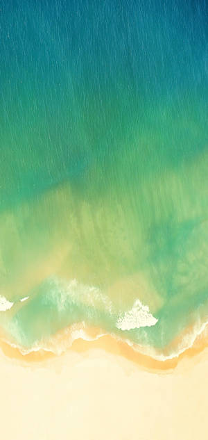 Realme Playa Verde — iPhone Xr Fondos de pantalla
