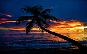 Fondo de puesta de sol en la playa — Atardecer en la playa Fondos de pantalla