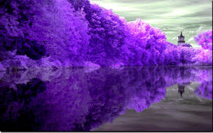 Fondo de pantalla del Reflejo del Lago Púrpura — Morado Fondos de pantalla