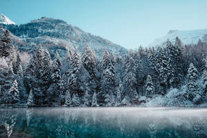 Fondo de pantalla de Reflejo Estético de Nieve — Estética de nieve Fondos de pantalla