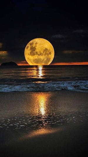 Teléfono Lunar en el Mar