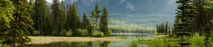 Fondo de naturaleza 4k — Cascada Fondos de pantalla