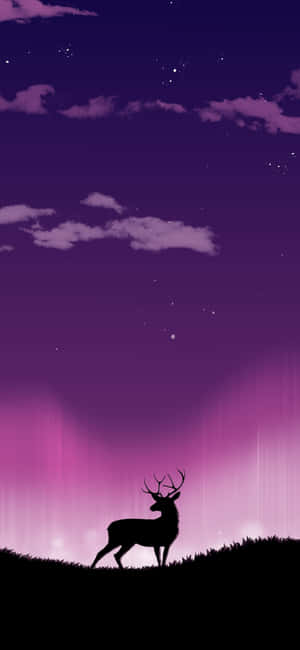Fondo de Reno — Oppo Find X Fondos de pantalla